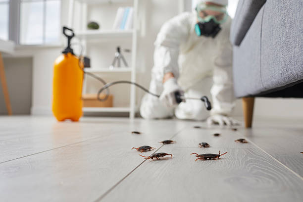Trusted Termite Control service in Spencer, OK - Nex Pest Control